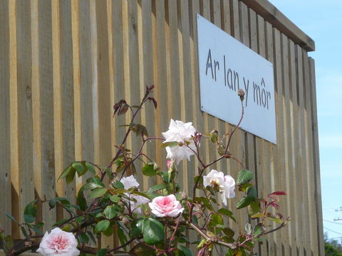 Ar Lan Y Mor - Accommodation Georgetown 12