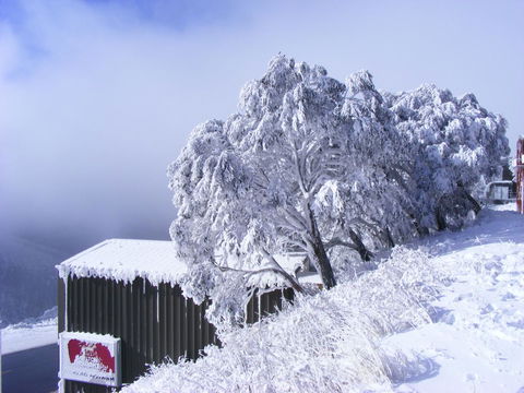 Arlberg Hotham - Accommodation Georgetown 15