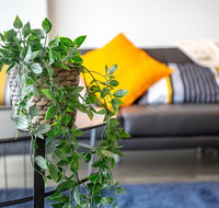Brand New One/Two - Bed Room Apartment  Maribyrnong - Accommodation Georgetown