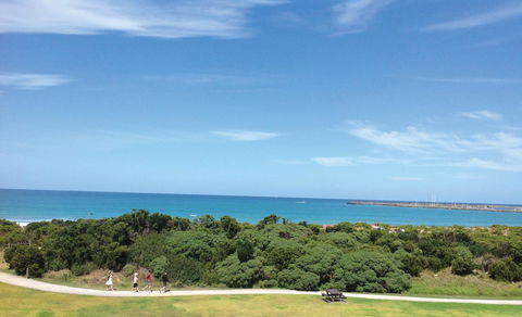 Apollo Bay Waterfront Motor Inn - Accommodation Georgetown 26