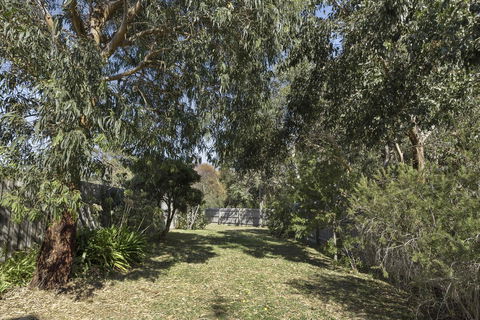 Apollo Bay Cottages - Accommodation Georgetown 14