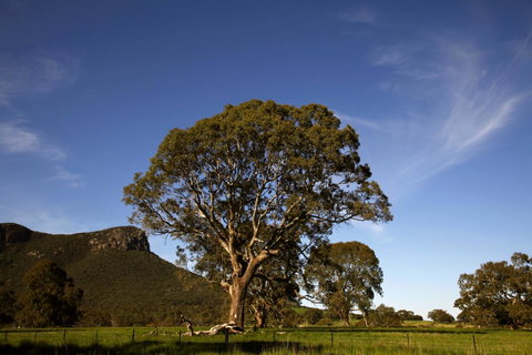 Dunkeld Studio Accommodation - Accommodation Georgetown 23