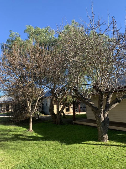 Dunkeld Studio Accommodation - Accommodation Georgetown 4