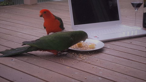 Wilsons Promontory Motel - Accommodation Georgetown 12