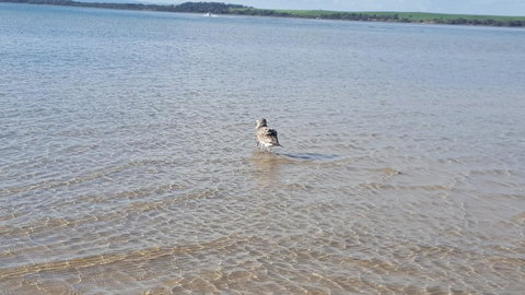 Wilsons Promontory Motel - Accommodation Georgetown 35