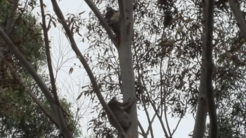 Wilsons Promontory Motel - Accommodation Georgetown 28