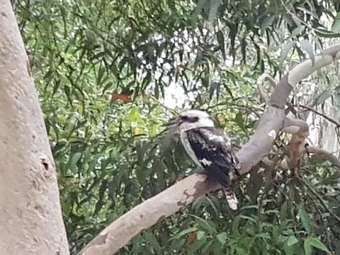 Wilsons Promontory Motel - Accommodation Georgetown 26