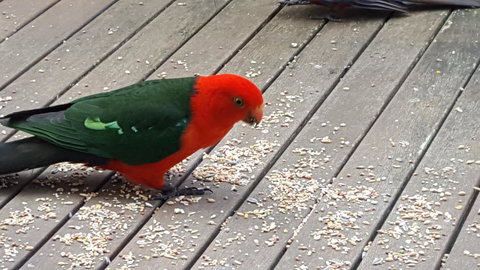 Wilsons Promontory Motel - Accommodation Georgetown 27