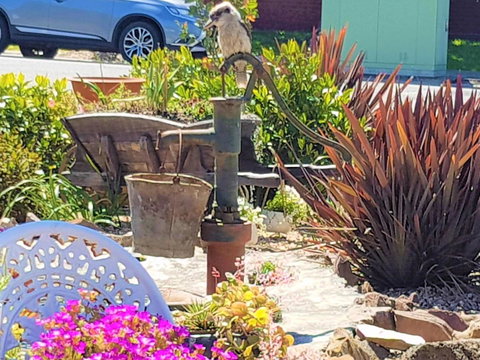 Wilsons Promontory Motel - Accommodation Georgetown 8