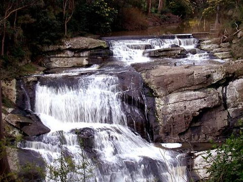 Wilsons Promontory Motel - Accommodation Georgetown 32