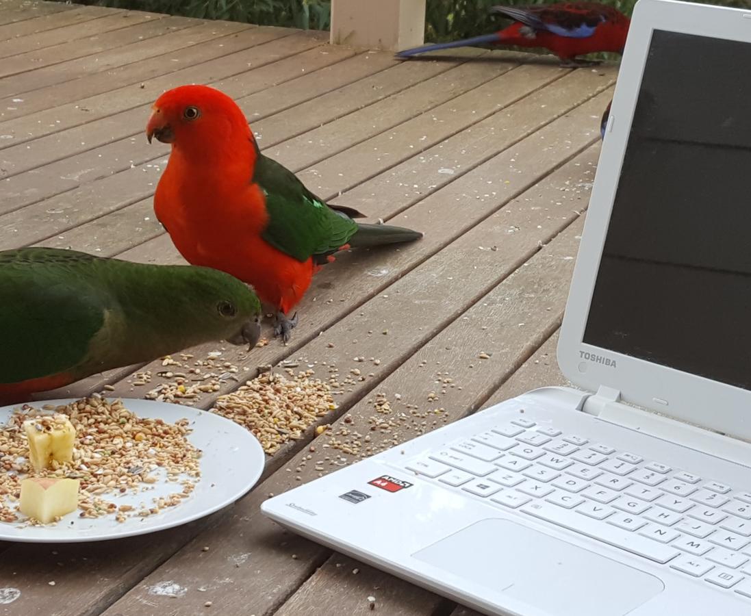  Accommodation Georgetown