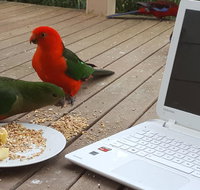 Wilsons Promontory Motel - Accommodation Georgetown