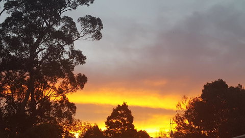 Wilsons Promontory Motel - Accommodation Georgetown 25