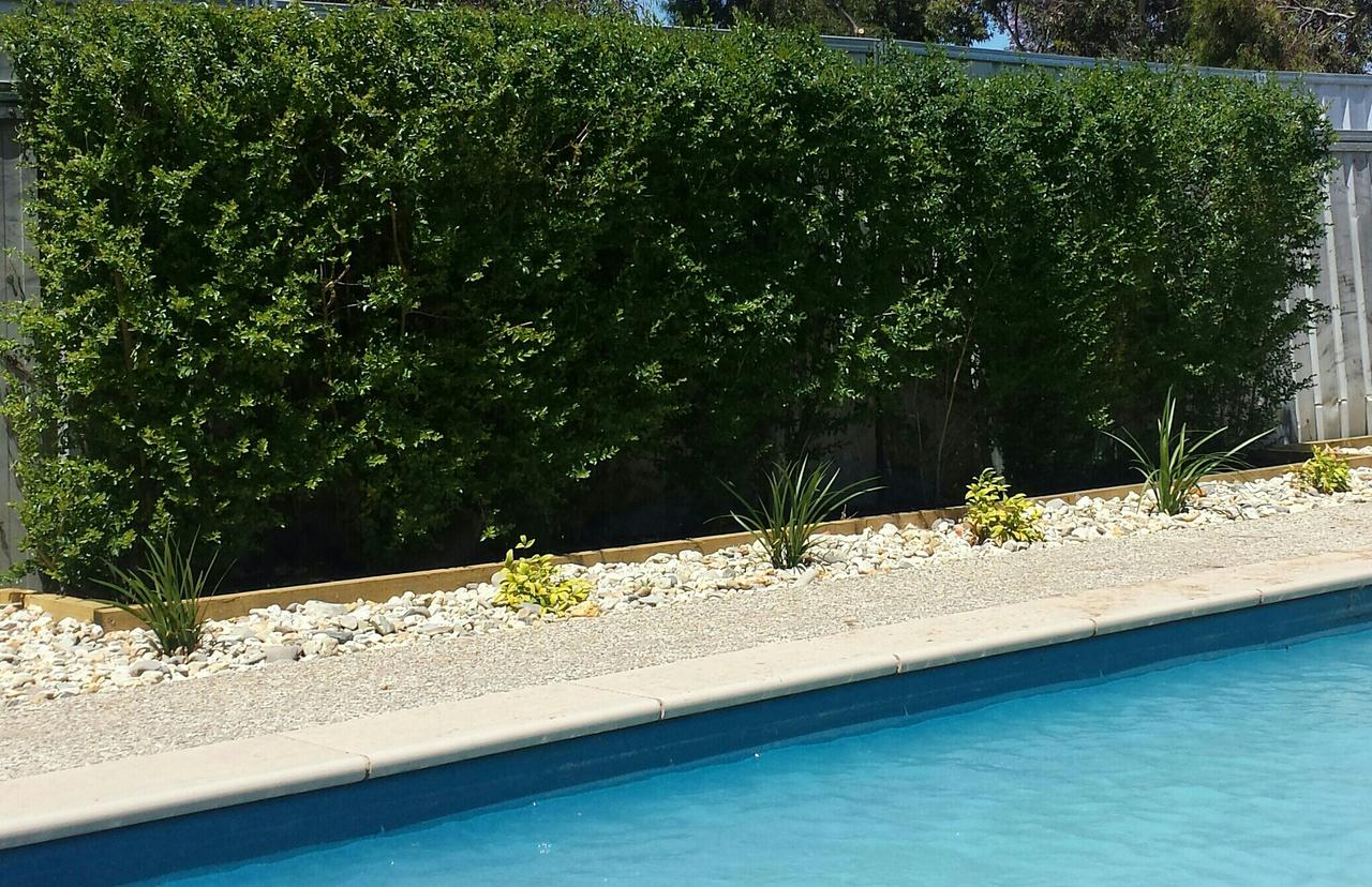 Annuello VIC Accommodation Georgetown