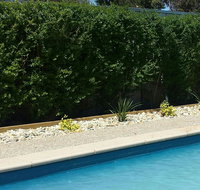 Robinvale Bridge Motel - Accommodation Georgetown