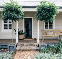 Acre of Roses - Accommodation Georgetown