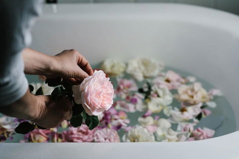 Acre Of Roses - Accommodation Georgetown 7