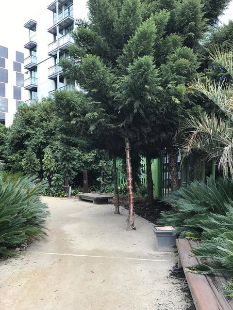 Docklands Private Collection - City Harbour Apartments - Accommodation Georgetown 35