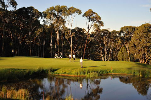 RACV Goldfields Resort - Accommodation Georgetown 31