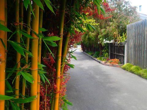 Azen Haven - Accommodation Georgetown 14