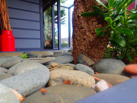 Azen Haven - Accommodation Georgetown 11
