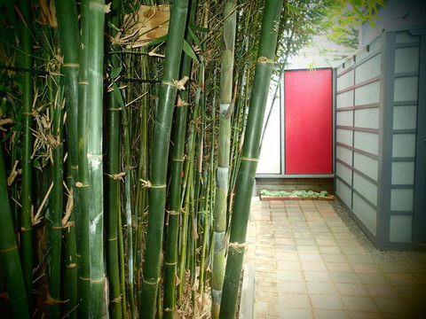 Azen Haven - Accommodation Georgetown 13