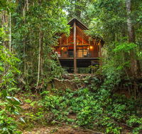 The Canopy Rainforest Treehouses  Wildlife Sanctuary - Accommodation Georgetown