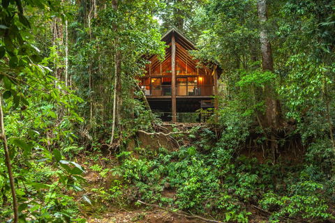 The Canopy Rainforest Treehouses & Wildlife Sanctuary - Accommodation Georgetown 0