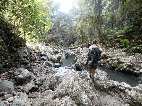 The Canungra Motel - Accommodation Georgetown 1