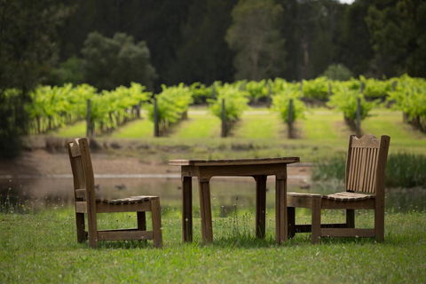 The Carriages Boutique Hotel And Vineyard - Accommodation Georgetown 2