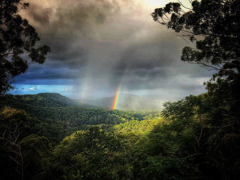 The Den Of The Treehouse, KINABALU Farm - Accommodation Georgetown 0