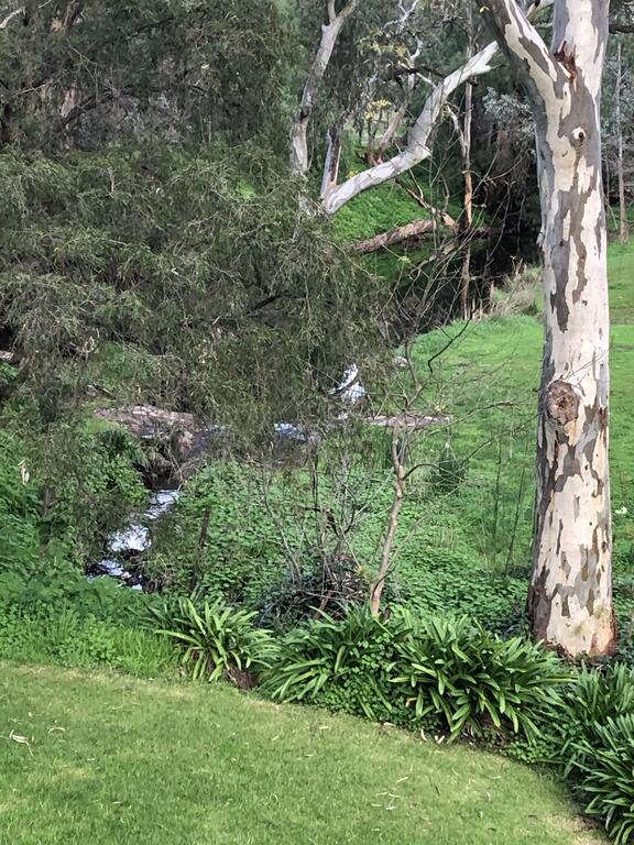 Cockatoo Valley SA Accommodation Georgetown