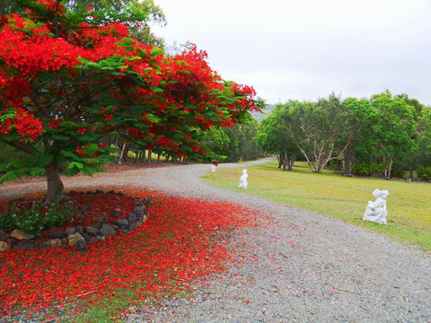 TRANQUILO BEACH HOUSE - Accommodation Georgetown 1
