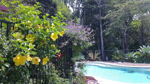 Tropical Coast Retreat - Pet Friendly - Accommodation Georgetown 0