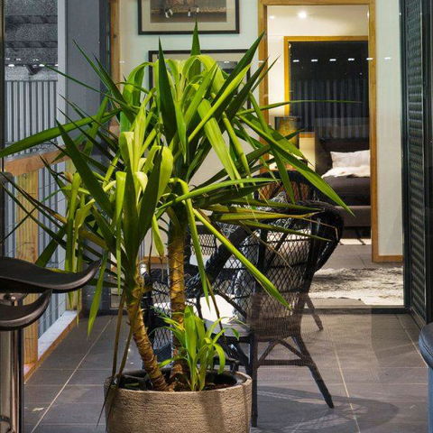 Val D'Argent Equestrian Centre - Accommodation Georgetown 2
