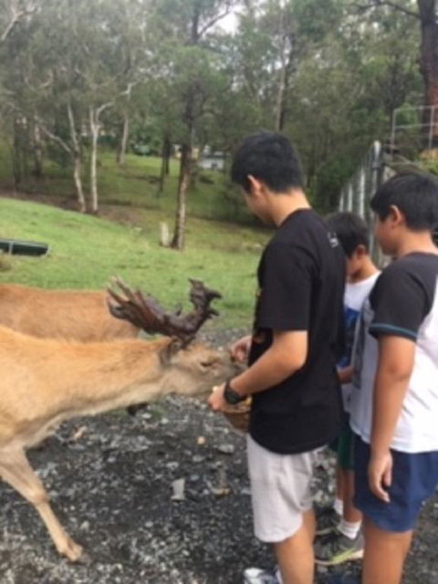 Villa Cervi Property - Accommodation Georgetown 3