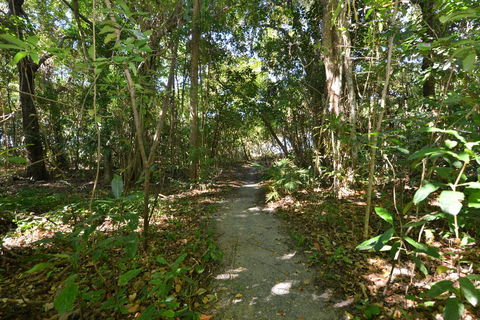Villa Frangipani - Accommodation Georgetown 2