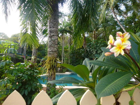 Villa Marine Holiday Apartments Cairns - Accommodation Georgetown 1