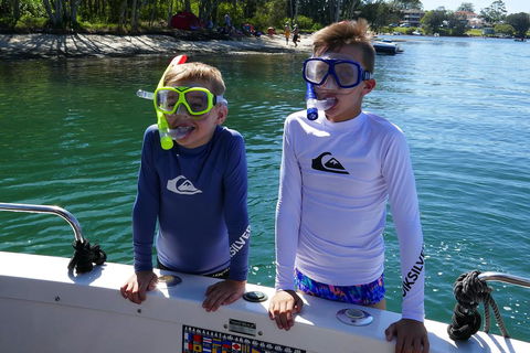 Wallis Court 6 - Accommodation Georgetown 1