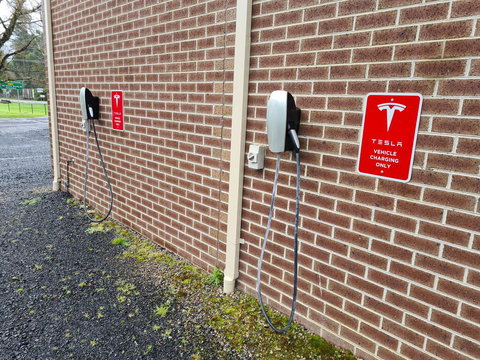 Warburton Holiday Park - Accommodation Georgetown 1