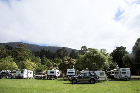Warburton Holiday Park - Accommodation Georgetown 0