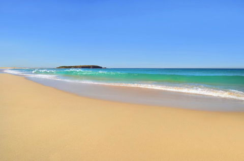Warilla Sands - Accommodation Georgetown 0