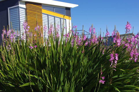 Watercolours - Accommodation Georgetown 1