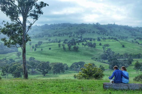 Waterfall Way Farmstay - Accommodation Georgetown 2