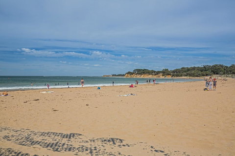 Nautical Rise Torquay - Accommodation Georgetown 29