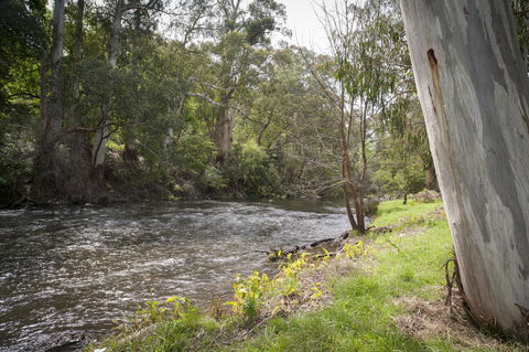 Oscar\'s On The Yarra - Accommodation Georgetown 23