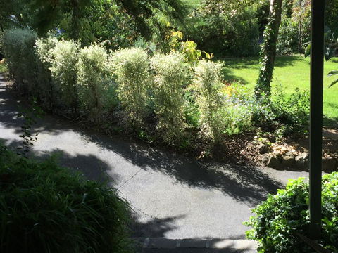 Moonah Woodlands Resort - Accommodation Georgetown 39