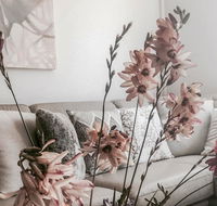 Bed of Roses - Accommodation Georgetown