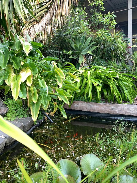 Sunryes Beach House - Accommodation Georgetown 30