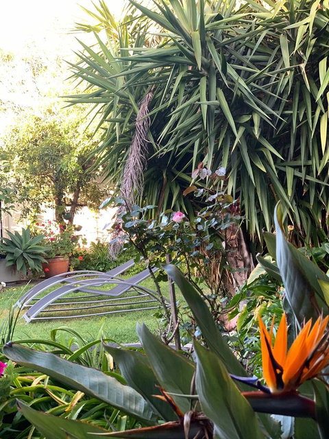 Sunryes Beach House - Accommodation Georgetown 32